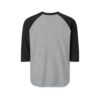 Phoenix Foundation Raglan Shirt