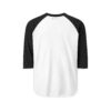Phoenix Foundation Raglan Shirt