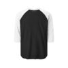 Phoenix Foundation Raglan Shirt